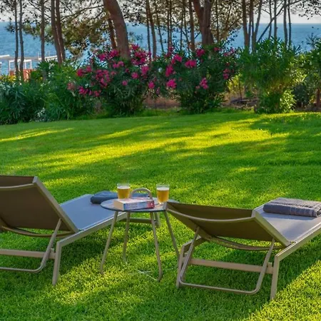 Seashell Luxury - 1 *